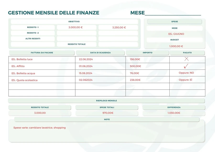 La scheda di gestione mensile delle finanze, con esempi compilati